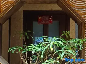 Jinyun Xunyingji Homestay (Xiandu Dinghu Peak) - Image 2