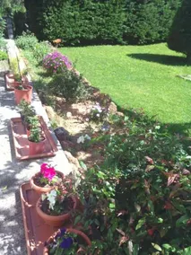 Hotel Kassandra - Image 3