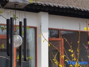 Tingqian Yuanhou Hostel - Image 2