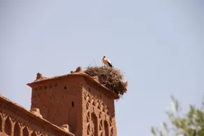 Ecolodge Amskou Dades Kasbah - Image 5