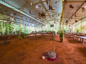 Oyo 25131 Jungle Book Resort - Image 3