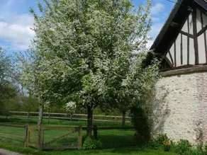 Gite Marmouillé, 4 pièces, 5 personnes - FR-1-497-81 - Image 3
