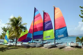 Petit St. Vincent - Image 3