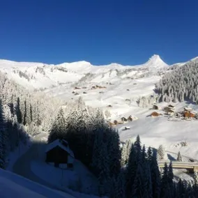 Zum Glöckle - Image 4