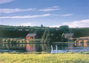Springwater Lodges - Image 3