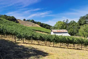 Luxury Wine Country Haven Vineyard Views Near Top Wineries Adelaida Farmhouse - Image 2