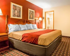 Rodeway Inn - Image 5