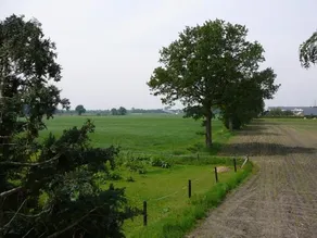Zonneraai - Image 5