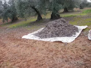 Cortijo Molino San Juan - Image 3