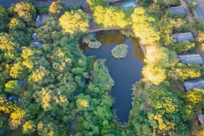 Bush Villas on Kruger - Image 5