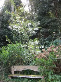 Bellawongarah at Berry - Image 2