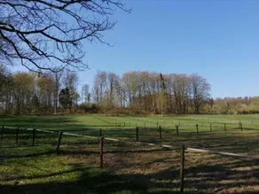 Lavish Holiday Home in Ferrières with Private Garden - Image 2