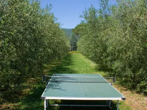 Belvilla by OYO Pergola - Image 5
