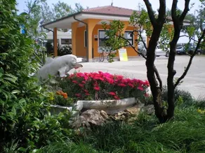 Campeggio Paradiso - Image 3