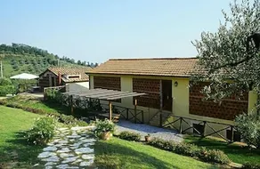 Fattoria Mansi Bernardini - Image 2