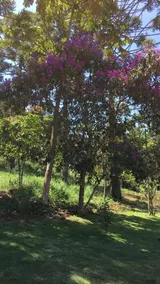 Pousada Canto Dos Passaros - Image 3