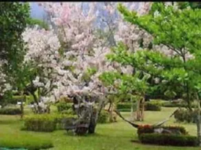 Muang Pai Resort - Image 1