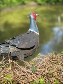 la p’tite chaumière - Image 4