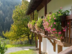 Holiday Home in Eberstein / Carinthia With Sauna - Image 2