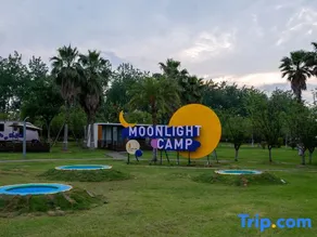 Moonlight - Image 4