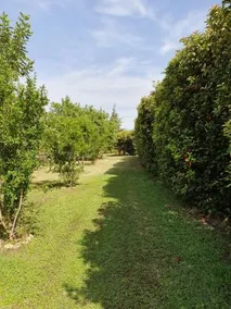Casapanetta - Image 3