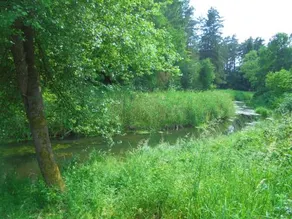 Dworek Przy Swidwiu - Image 4