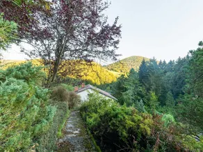 Quiet Chalet in Kaumberg near Vienna with Garden - Image 3