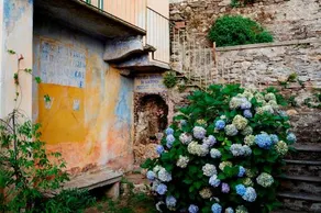 Villa La Canonica - Image 4