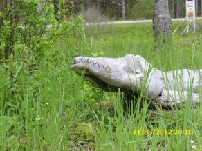 The Whitman Inn - Image 3