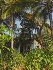 Jivana Goa - Image 5