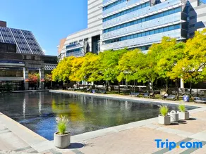 Short term rent at Yonge and Sheppard and North York Centre - Image 1