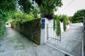 Apartment Green - Image 4