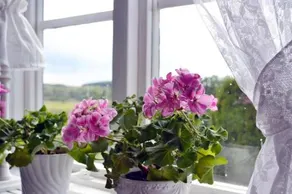 Vilhelmsro Bed & Breakfast - Image 2