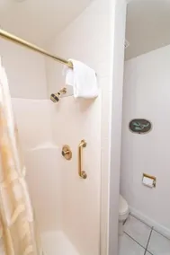 Ilima - 1 Br Condo - Image 5