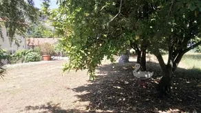 Agriturismo Collevento - Image 3