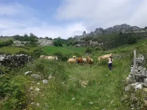Posada el Mirador - Image 2