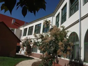 Ciszterci Haz Baja - Image 4