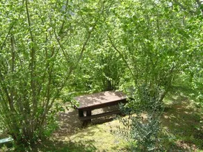 Mattale - Image 4