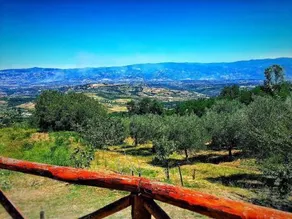 Agriturismo La Forestella - Image 4
