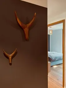 the NEST flims - Image 3