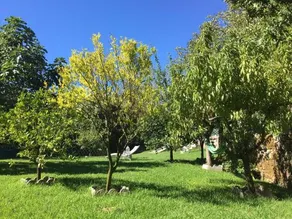 Casa do Moinho - Image 2