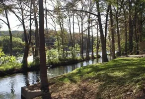 Rio Cancion on the Guadalupe Cabin #2 - Image 2