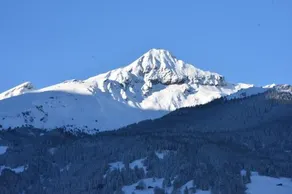 Hotel Du Sauvage Grindelwald - Image 2
