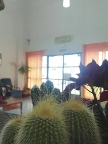 Hotel Balisa - Image 5