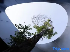 YUNYIN - Image 4