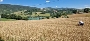 La Corte Sul Lago - Image 3