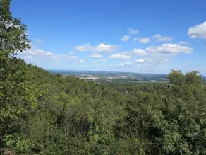 Cabane de la leque - Image 4