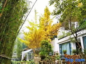 Yixianlu Hotel - Image 4