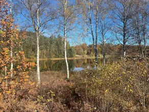 Holiday home Hillerstorp - Image 5