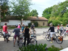 Faesser Birkensiedlung - Image 2